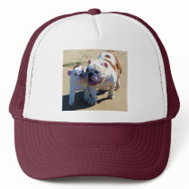 You Belong With Me! Trucker Hat
