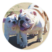 You Belong With Me! Sticker