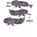 You Blow Me A Whale! T-shirt