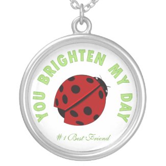 You Brighten My Day: Ladybug Necklace necklace