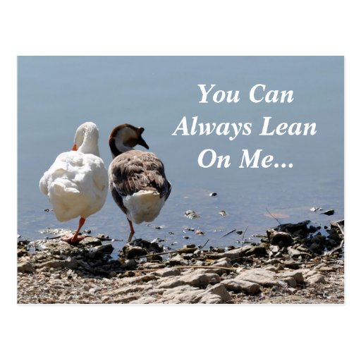 you-can-always-lean-on-me-postcard-zazzle