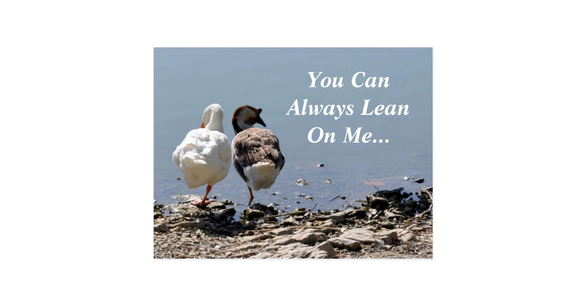 You Can Always Lean On Me Postcard Zazzle