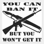 You Can Ban It But You Won’t Get It AR15 Square Stickers You Can Ban It But You Won’t Get It AR15 Square Stickers