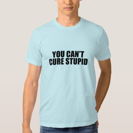 stupid should hurt t shirt