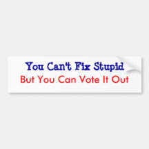 You Can't Fix Stupid Bumper Sticker
