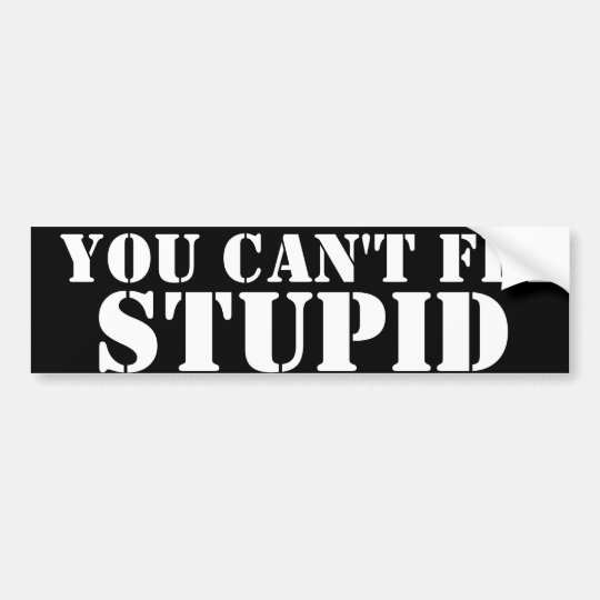 You Can T Fix Stupid Bumper Sticker Zazzle