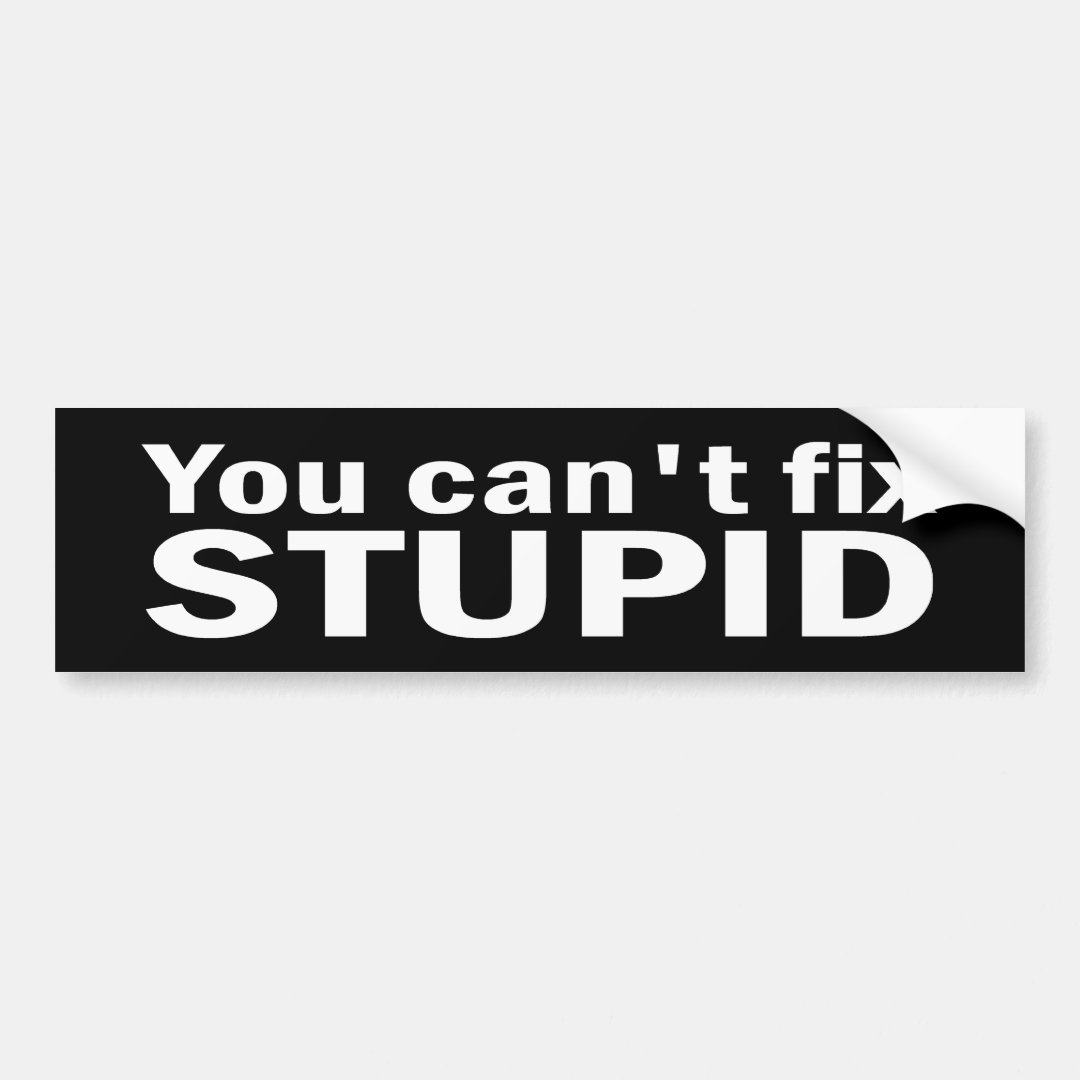 You Cant Fix Stupid Bumper Sticker Zazzle