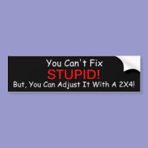 You Can't Fix Stupid. But, You Can  Bumper sticker bumper stickers
