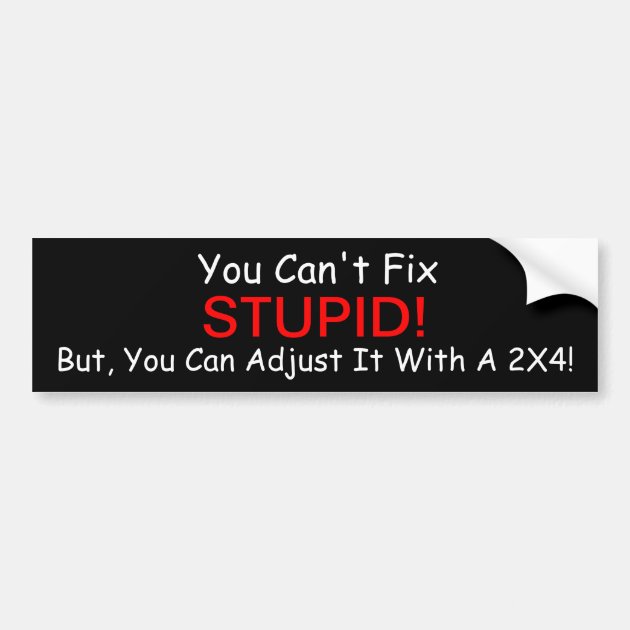 You Can't Fix Stupid. But, You Can Bumper Sticker | Zazzle