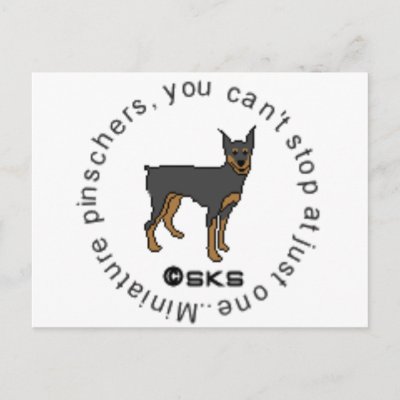 You can't have just one - miniature pinscher post card