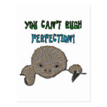 You Can't Rush Perfection Baby Sloth Post Card