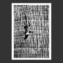 you cant see me posters