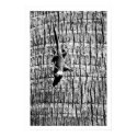 you cant see me posters
