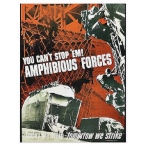 You Can't Stop 'Em Amphibious Forces Custom Flyer