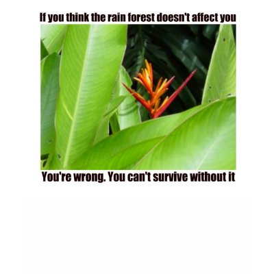 You can't survive without your environment t shirt by burntright