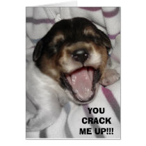 YOU CRACK ME UP!!! cards