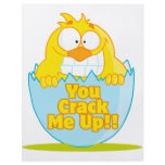 you crack me up funny cracked chick bird flyers