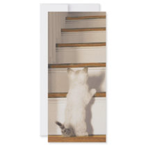 You Did It Rack Card Template