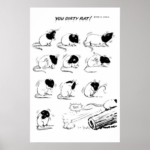You Dirty Rat! Poster Zazzle