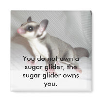 You do not own a sugar glider, the su... magnets by dranger1108 You do not own a sugar glider, the su... magnets