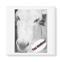 You donkey magnets by farbie92 You donkey magnets