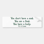 You don't have a soul, you are a soul bumper stickers