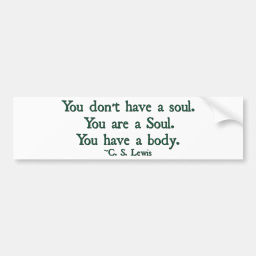 You don't have a soul, you are a soul bumper stickers