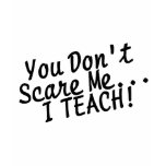 You Dont Scare Me I Teach t-shirts
