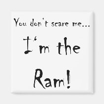 You don't scare me...Ram magnets