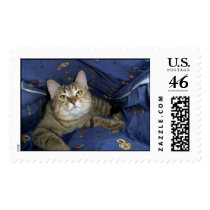 You found me postage