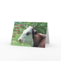 You Go Girl cards by MakaraPhotos You Go Girl cards