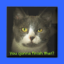 You gonna finish that? magnets