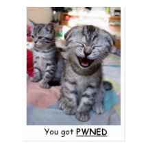 You got PWNED Post Card