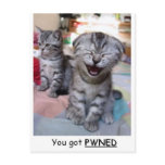 You got PWNED Post Card