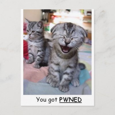 you_got_pwned_postcard-p239850586791423688z85wg_400.jpg