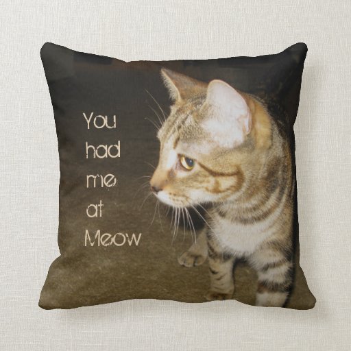 meow pillow