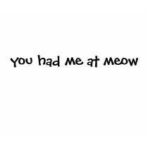 you had me at meow t-shirts