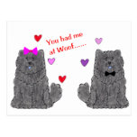 You Had Me At Woof Chow Chow Black Postcard
