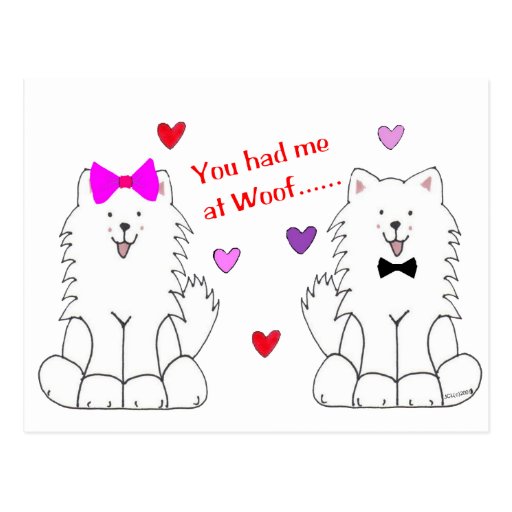 You Had Me At Woof Samoyed Postcards