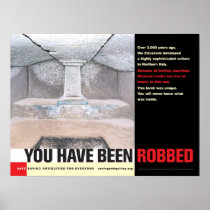 You Have Been Robbed poster