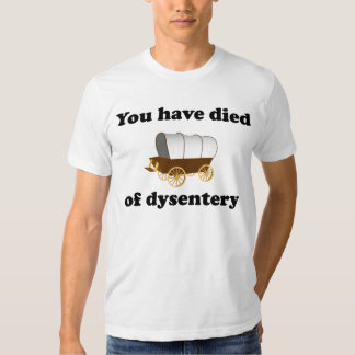 you have died of dysentery shirt