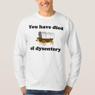 you have died of dysentery shirt