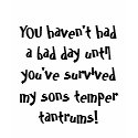 YOU haven't had a bad day until you've survived... t-shirts