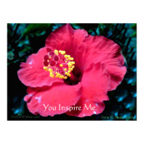 You Inspire Me. posters