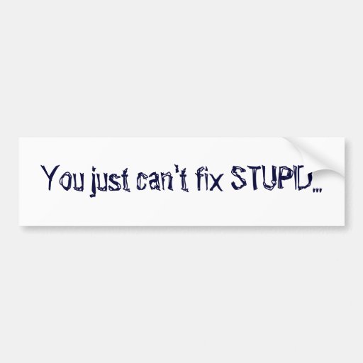 You Just Cant Fix Stupid Bumper Sticker Zazzle