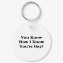 You Know How I Know You're Gay? keychains
