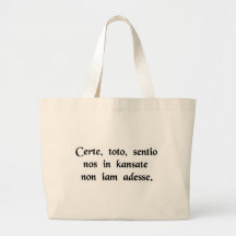 You know, Toto, I have a feeling we're not ...... Bags