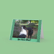 You Know What?, I MISS YOUR KISSES!! cards