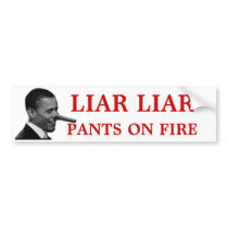 You LIE bumper stickers by common_sense You LIE bumper stickers
