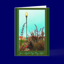 You Light Up My Life Card cards